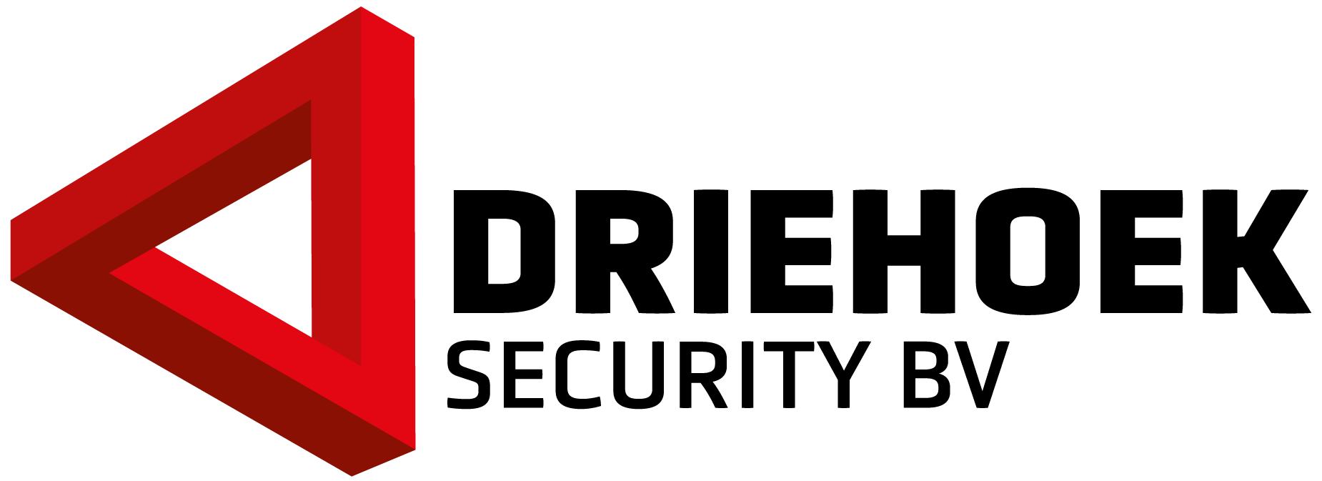rood-logo-driehoek-security-bv_tekengebied-1